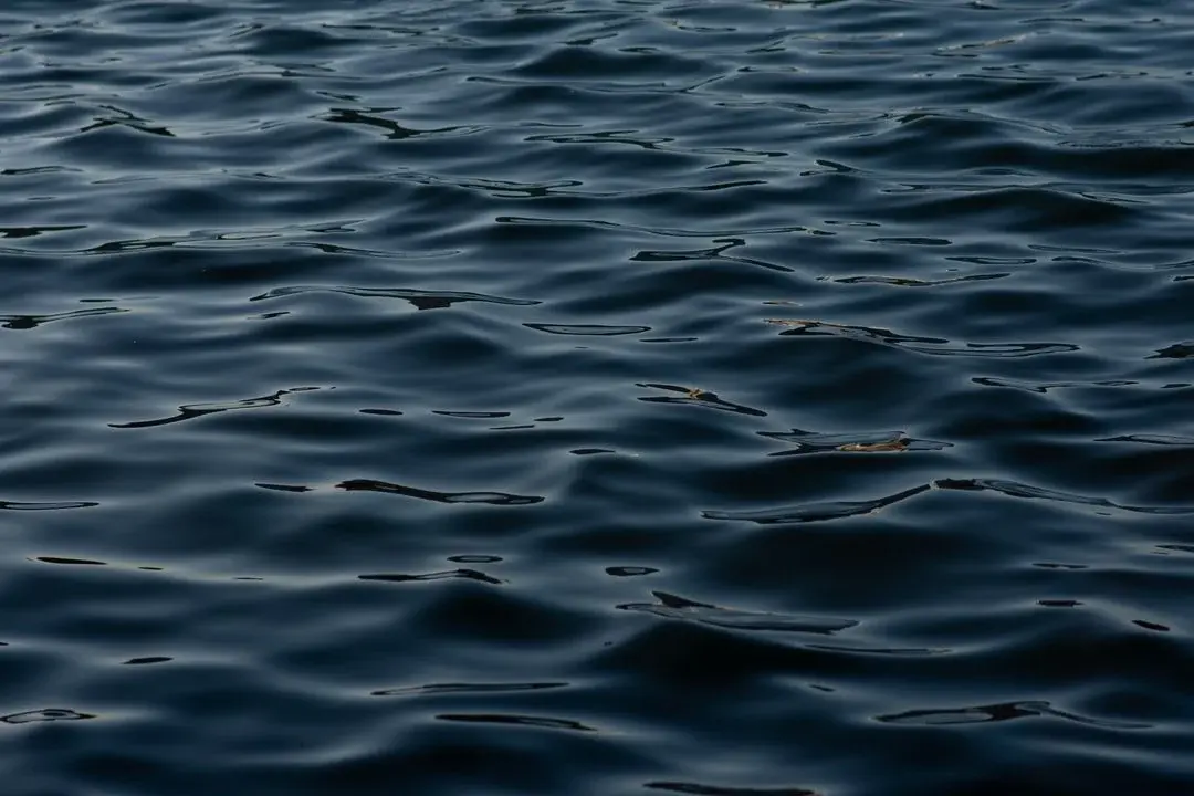 unsplash-image-76aKbIguu9U